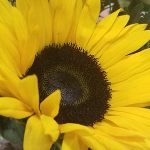 Meet your Posher, Tara